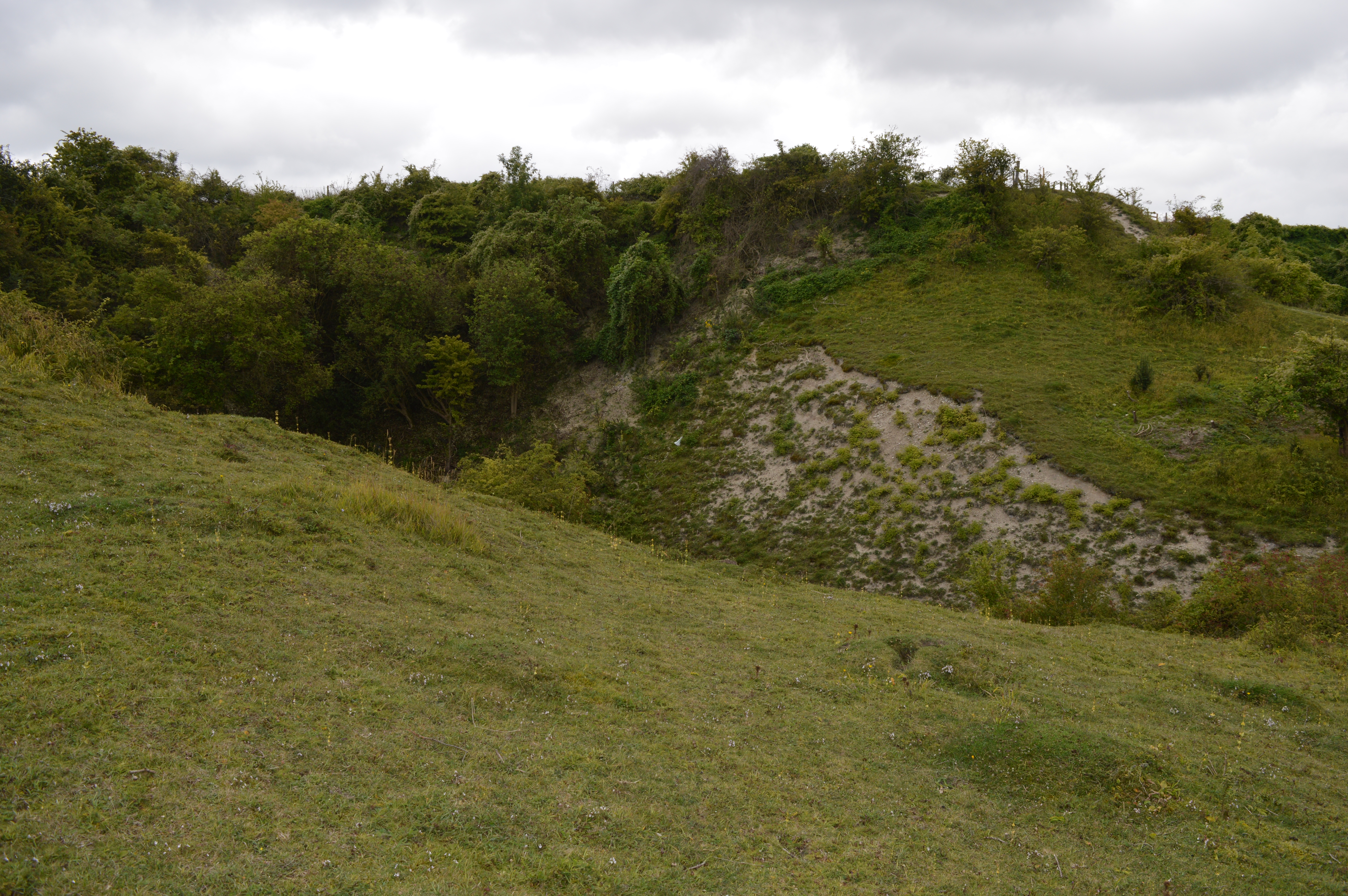 The grassed-over former quarry pit at Totternhoe, with a small area of exposed chalk face, now part of the Totternhoe Knolls nature reserve.