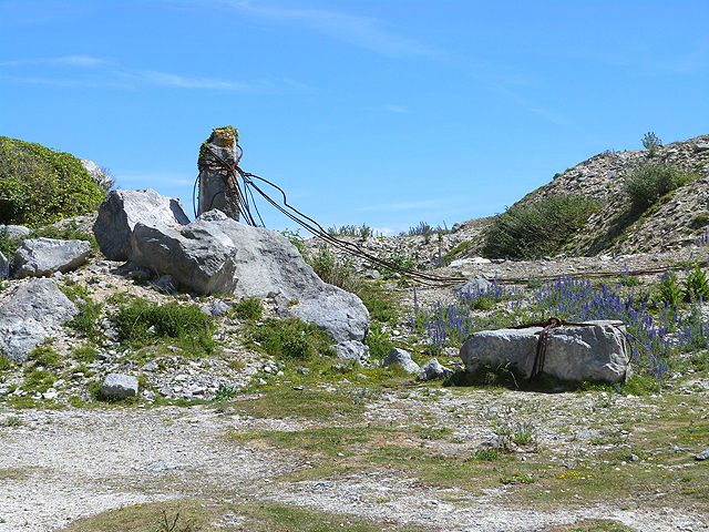 Pale limestone boulders and an old stone post wrapped in rusty wire rope stand among blue flowers on a rubbly quarry floor.