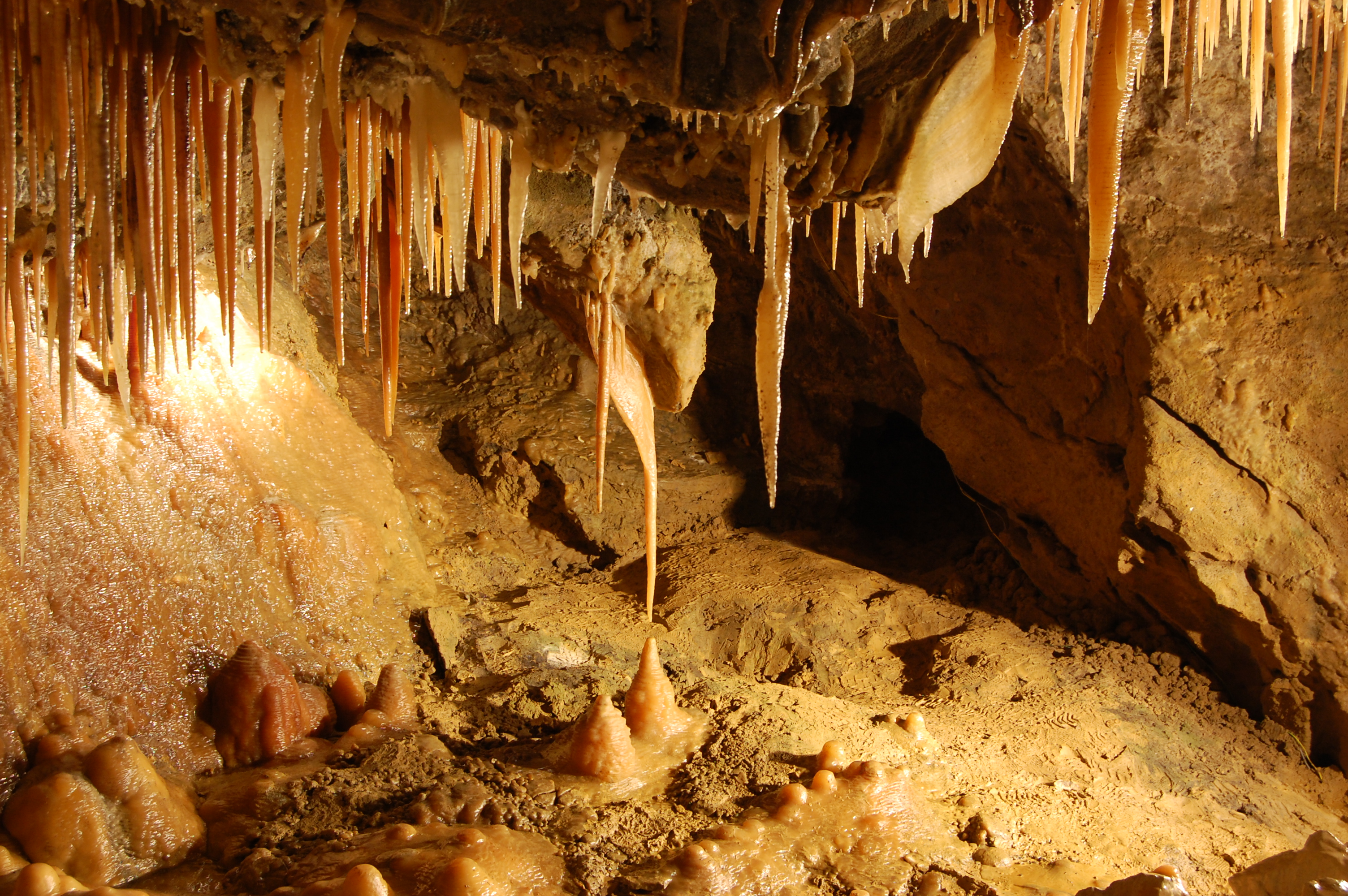 Interior of Treak Cliff Cavern showing the Ram's Head rock formation and the Stork stalactite feature