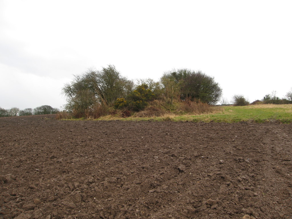 A disused, overgrown mineshaft in a field near Llanasa, Flintshire, close to the site of Trelogan lead mine