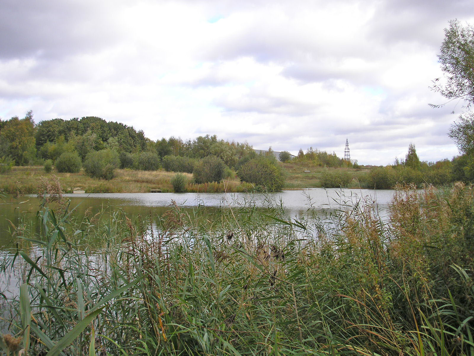 Open grassland and young woodland on the reclaimed Upton Colliery site, with a footpath running through.