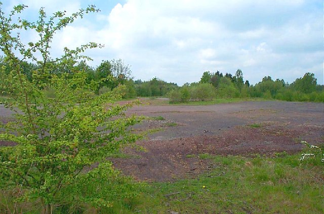Rough open ground of grass, scrub and young trees on the levelled site of West Hallam Colliery, with woodland along the skyline.