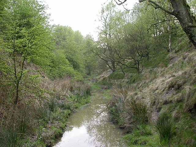 A ganister quarry face in Wharncliffe Wood, near Oughtibridge, Sheffield