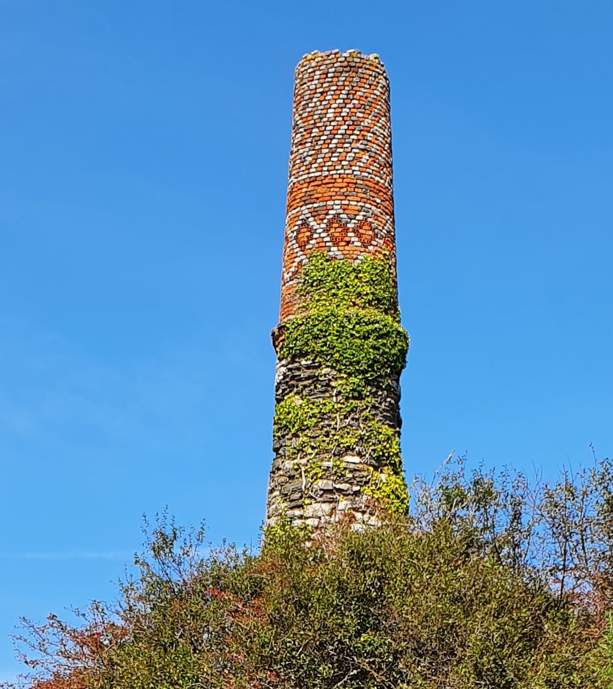 A tall, round brick-and-stone engine house chimney against a blue sky, its upper courses laid in a decorative diamond brick pattern, with ivy heavily covering its lower half and surrounding trees at its base.