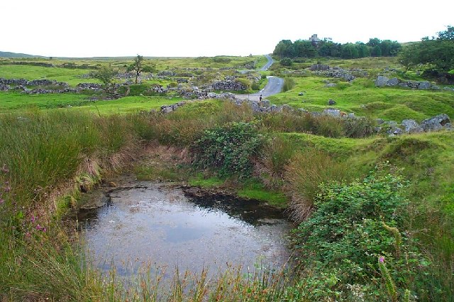 A water-filled former tin mine shaft among the overgrown workings at Whiteworks on Dartmoor