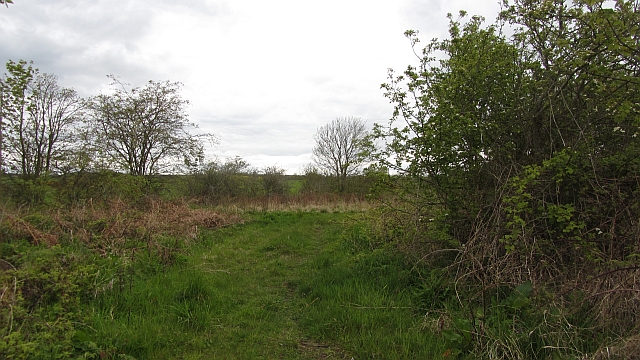 The trackbed of the mineral line that served Whittle Colliery, running through open Northumberland farmland.