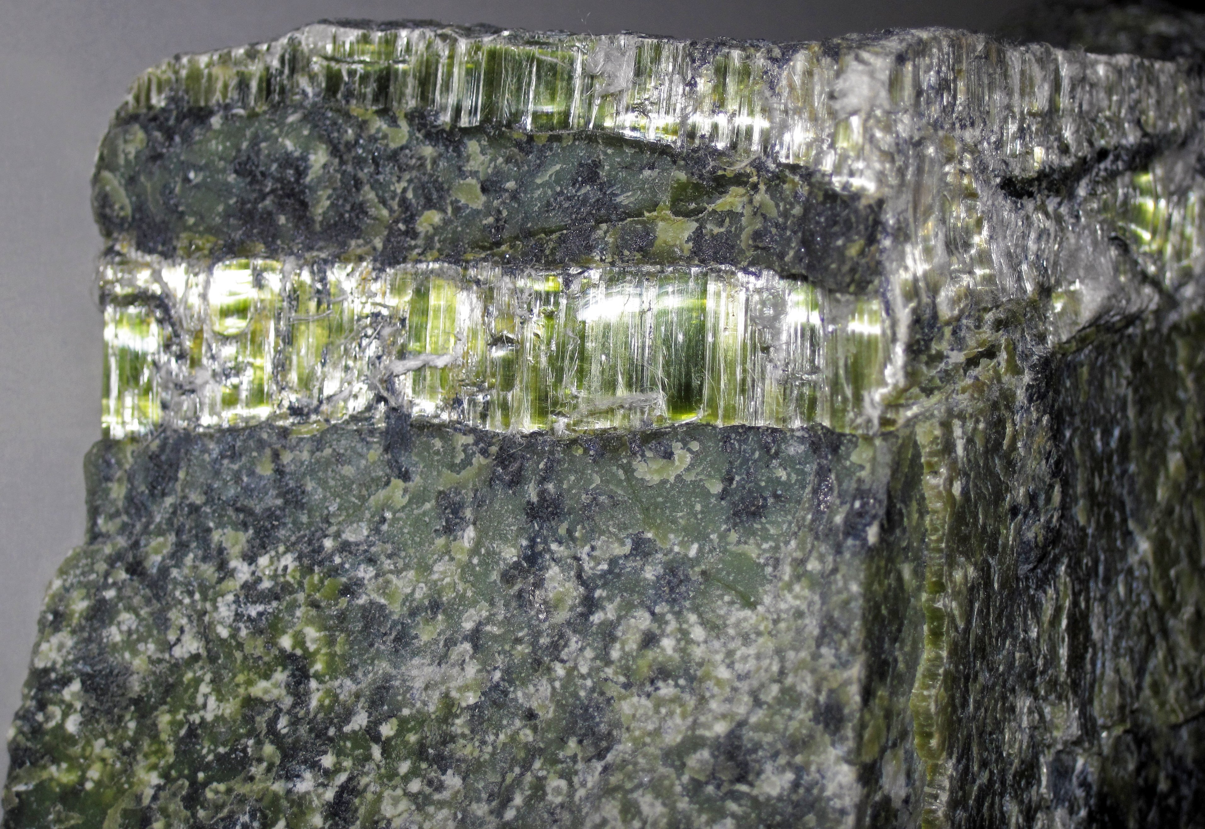 Fine, curling fibres of chrysotile running through a matrix of serpentinite, the same rock type the Mynachdy quarry in Anglesey was cut into.