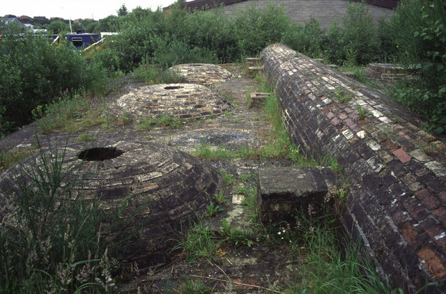 The overgrown brick domes of a row of beehive coke ovens, each with a round charging hole in its crown, running back beside a long brick retaining wall.