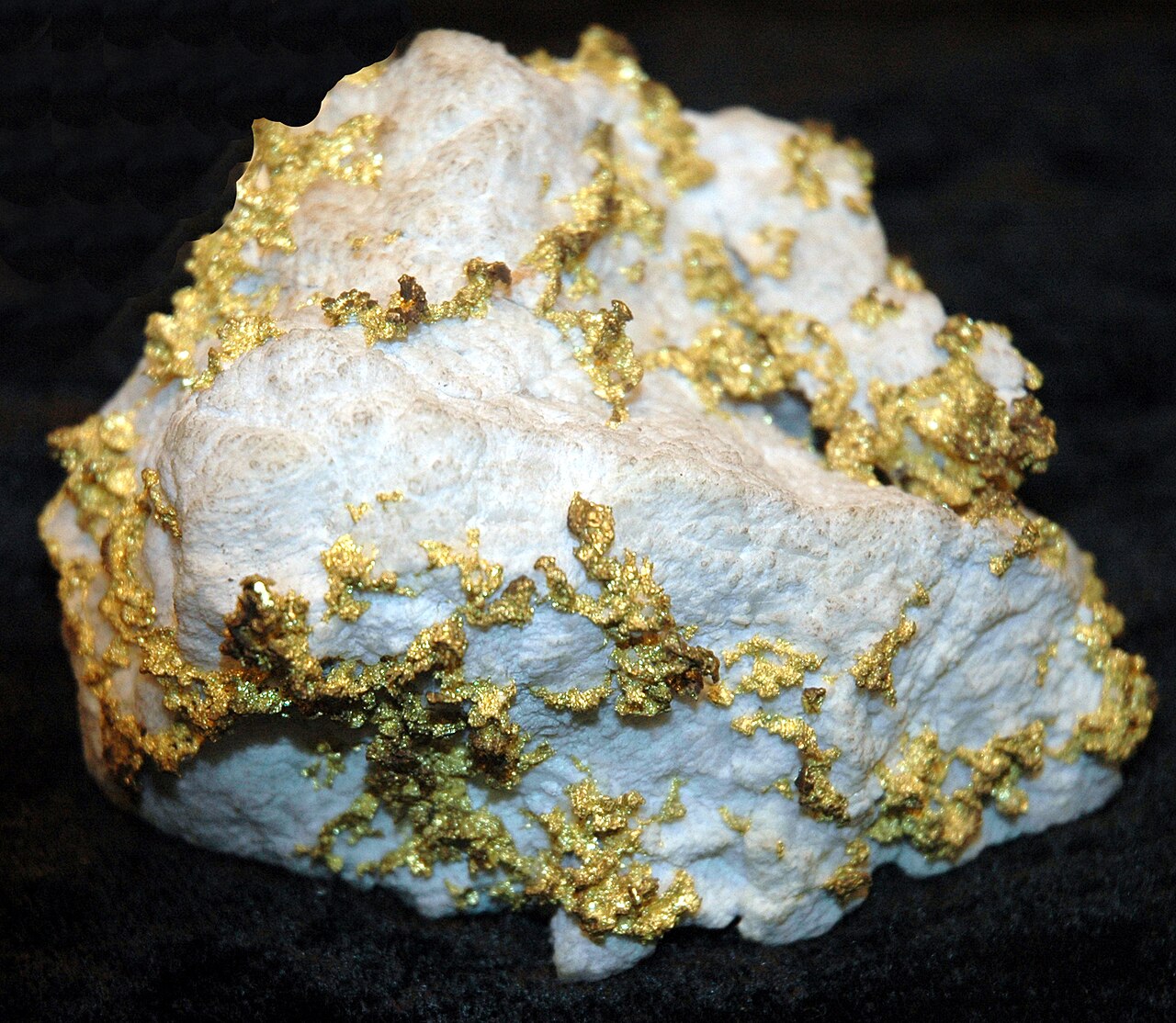A hydrothermal quartz-gold vein specimen from the Mother Lode Gold Belt, Grass Valley, California — visible native gold within white quartz, the classic form gold takes in a hard-rock vein.