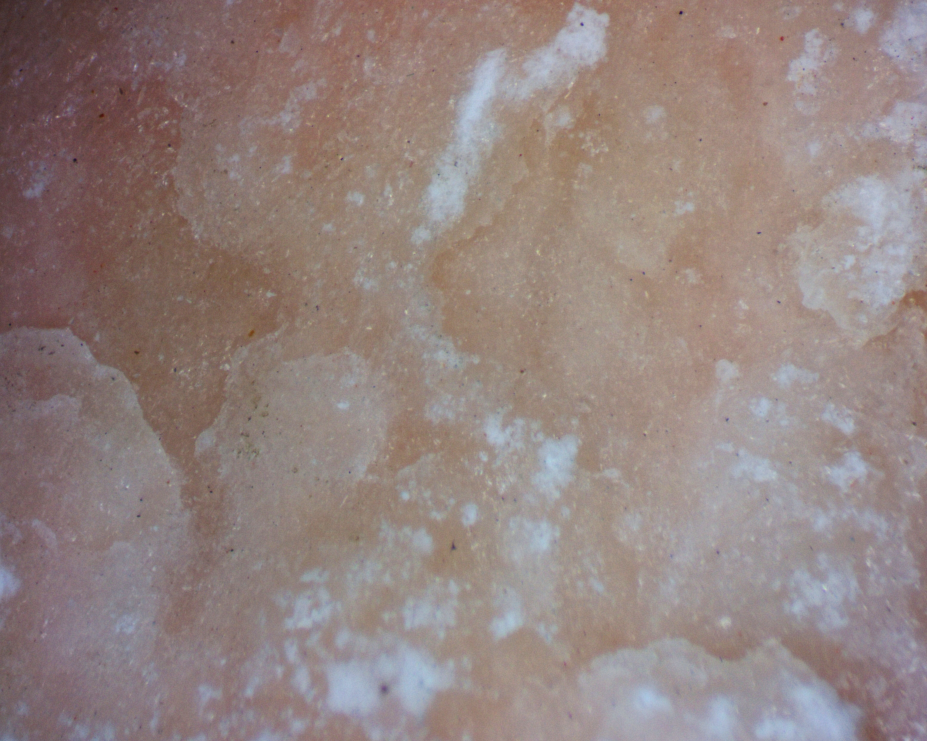 A photomicrograph of gypsum, alabaster variety.