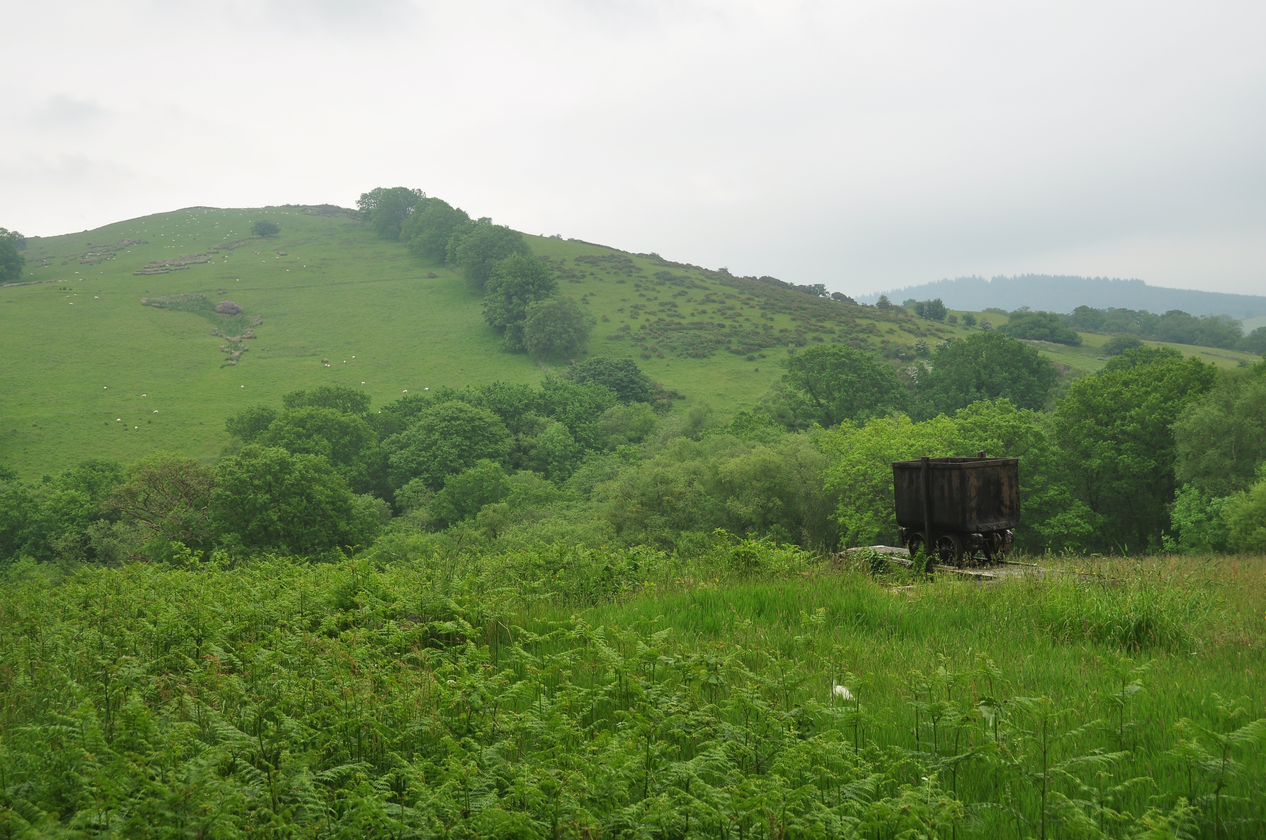 The hillside above Dolaucothi Gold Mines, its surface shaped by two millennia of hushing and later mining.