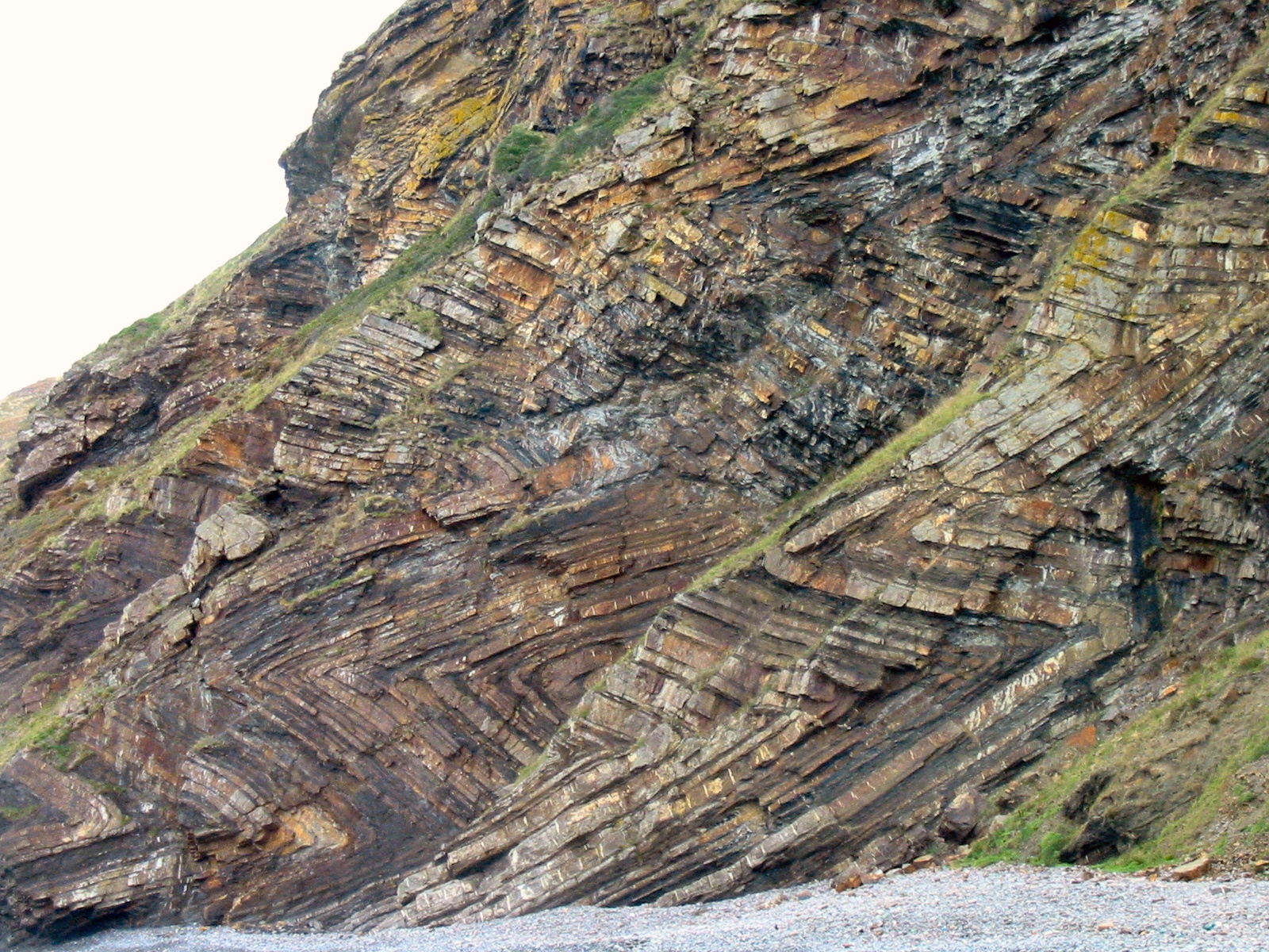 Recumbent chevron folds in killas cliffs at Millook, Cornwall.