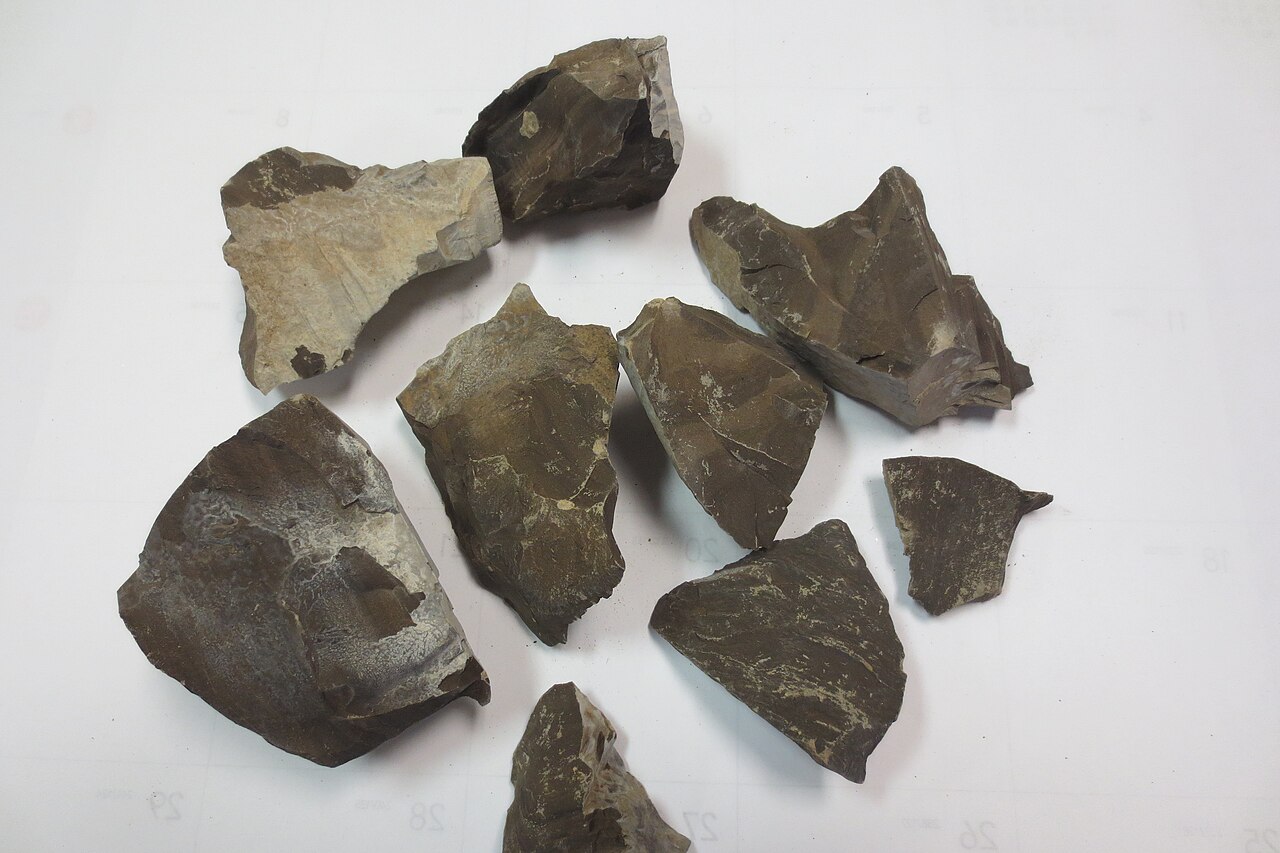 Oil shale sample