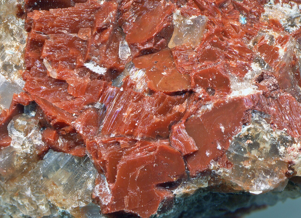 Sylvite, the principal ore mineral of potash