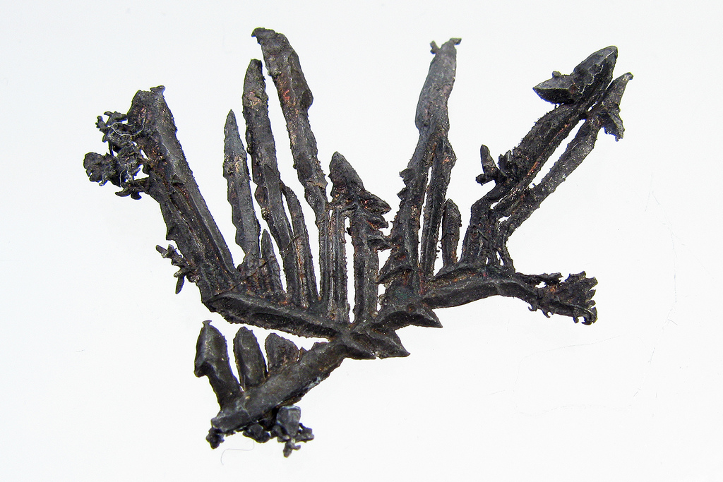 Dendritic native silver crystals — the rare free form of the metal, as opposed to the argentiferous galena from which almost all British silver was actually recovered.