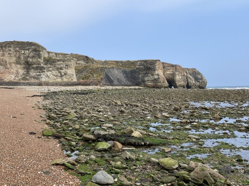 A shingle and boulder beach at low tide below pale limestone cliffs, with weed-covered rocks and pools.
