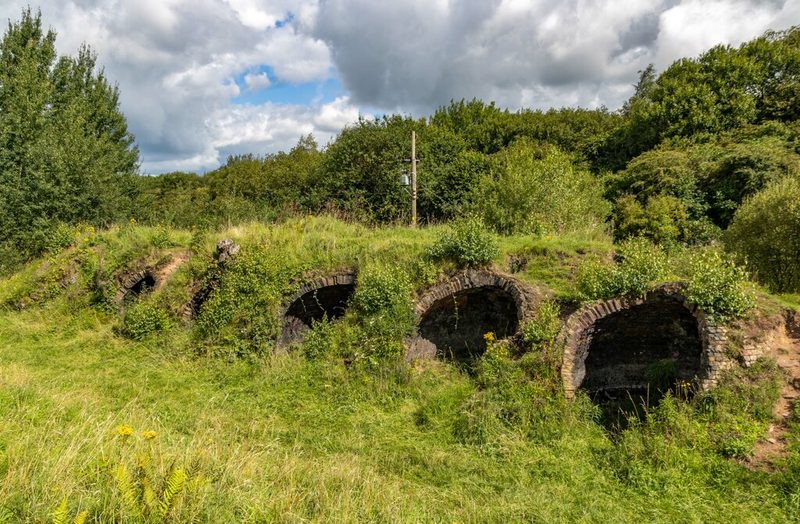 A row of overgrown brick-arched coke ovens set into a grassy bank beneath trees.