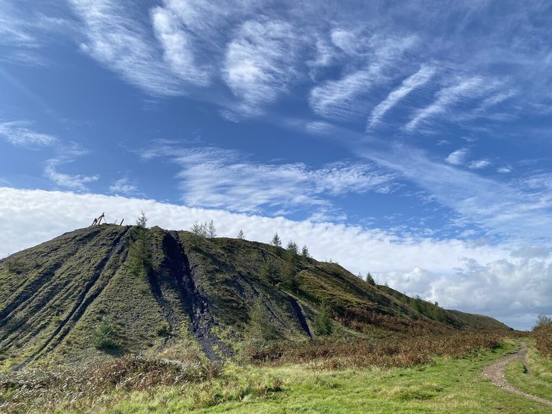 A steep grassed spoil heap with dark scars and young conifers rising against a blue sky streaked with cloud.