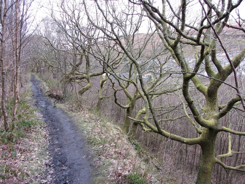 A grassy path along a hillside ledge above the Rhondda Fach valley near Ferndale.