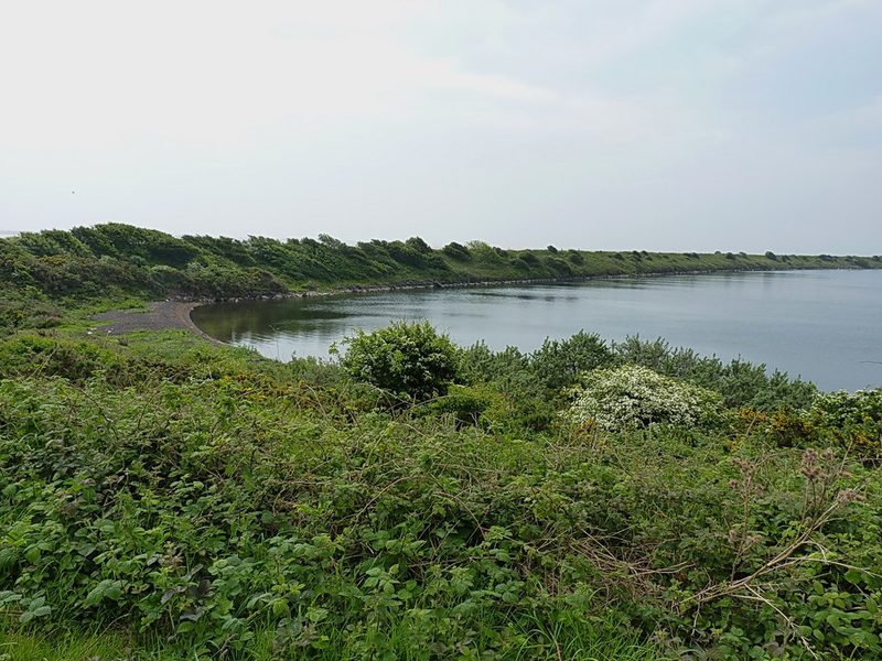 A calm lagoon curves between low banks covered with bushes and hawthorn in flower.