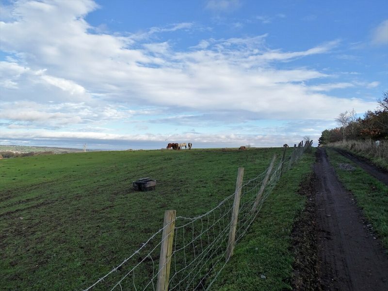 A footpath across grazing fields west of Medomsley Edge, on the site of the former Medomsley Colliery