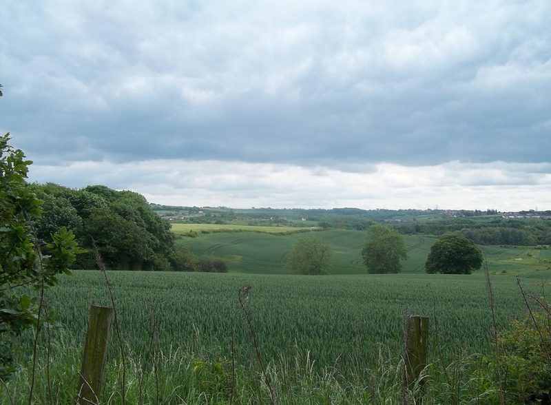 Green farmland and scattered trees in a shallow valley under a grey sky, with houses on the far ridge.