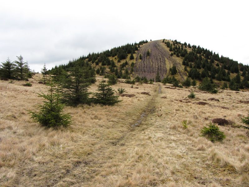A rough track crosses tussocky moorland towards a conical waste tip planted with young conifers.