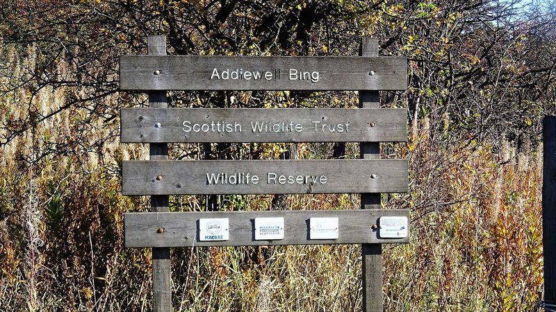 The spent red shale bing raised by the Addiewell works, now grassed over and managed as the Addiewell Bing Local Nature Reserve.