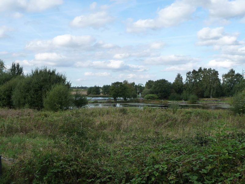A calm, tree-lined body of open water at Marston, Cheshire — the subsidence lake formed over the flooded workings of the Adelaide Mine after its collapse in 1928.