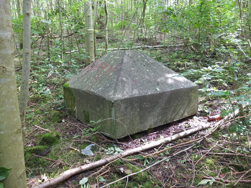 A disused mine shaft in rough open ground on the site of Alexandra Colliery in St Helens, surrounded by scrub and grass.