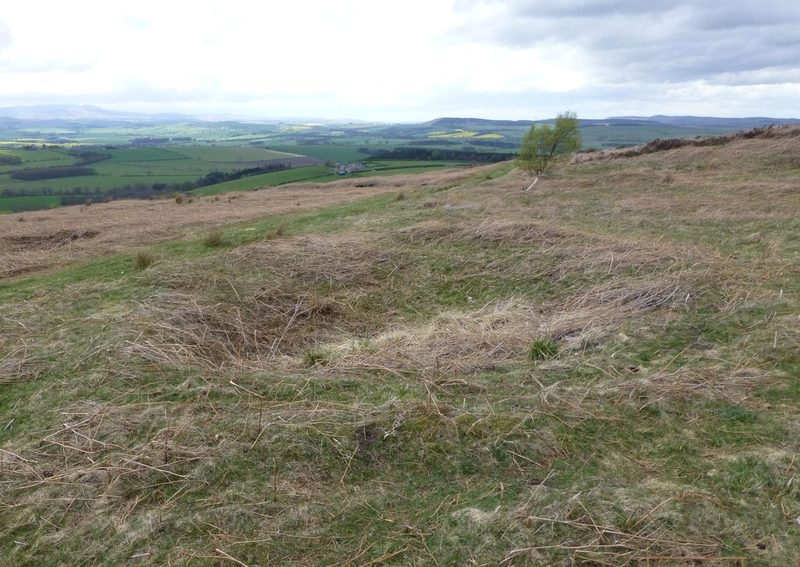 Rough moorland grass with a shallow circular hollow ringed by a low mound, and open country beyond.