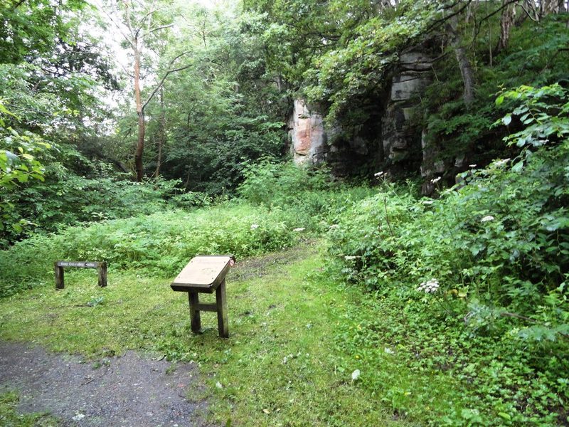 An interpretation board on a grassy clearing in a wooded gill, with a rock face rising among the trees behind.