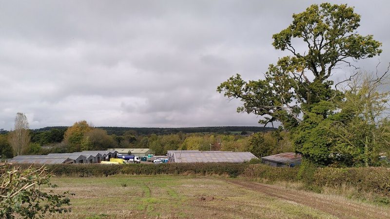 A line of low industrial units behind a hedge, seen across a stubble field, with an oak tree to the right and wooded hills on the horizon.