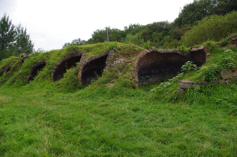 A grassed bank with a row of arched brick beehive coke ovens opening from it, trees behind and rough grass in front.