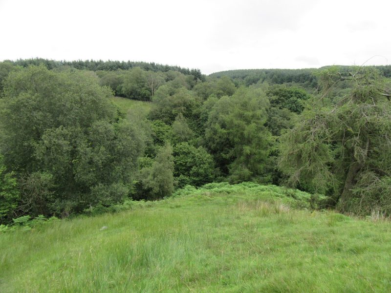 The valley of Augill Beck on Stainmore, the ground between the mine workings and the smelt mill below.