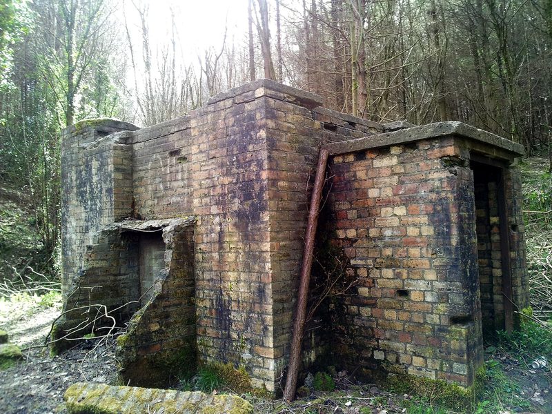 A derelict brick building with a concrete roof and broken walls standing among trees in a wood.
