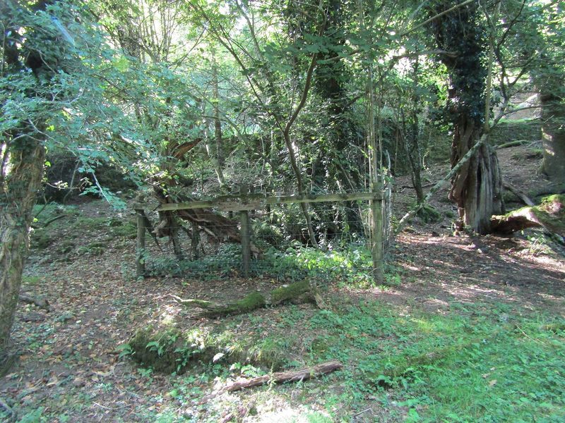 The stone-lined wheelpit at Bagtor Mine inside its protective fence, which once held the mine's waterwheel.