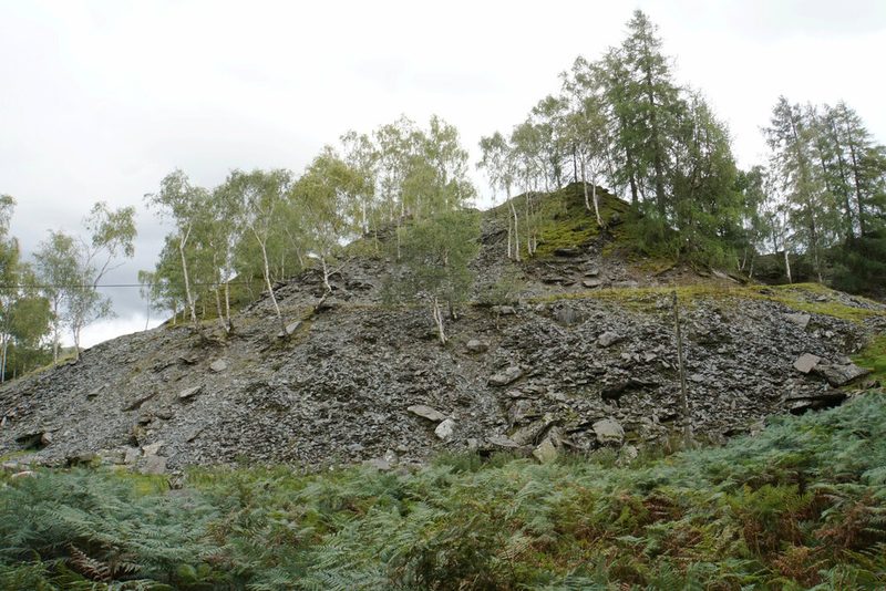 An old slate quarry spoil heap above Chapel Stile in Great Langdale, mature enough for trees to be growing out of it