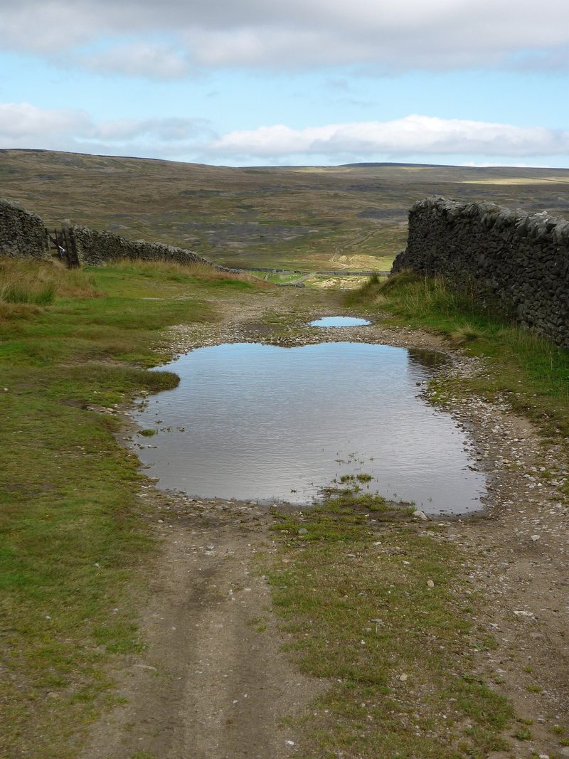 The open expanse of Grassington Moor seen from Yarnbury, the ground scattered with the spoil and earthworks of its lead mines.