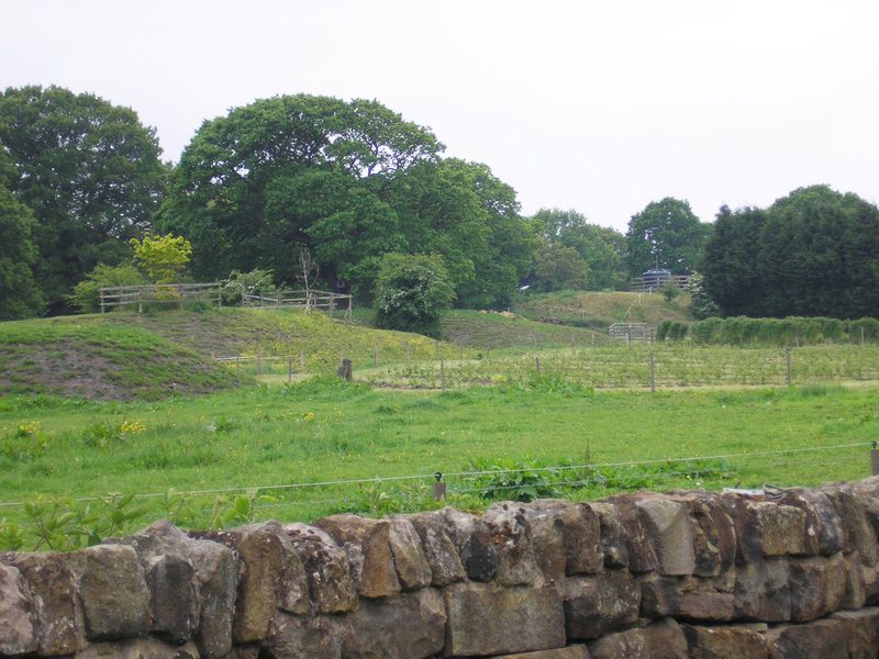 Grassy mounds with hollowed tops in a field of pasture, with a drystone wall in the foreground and mature trees behind.