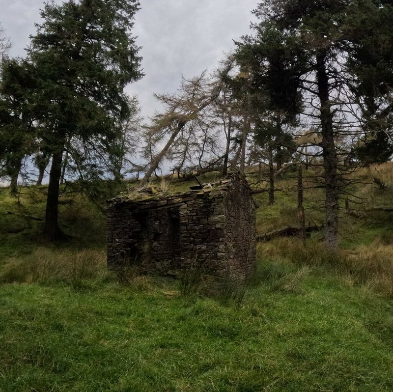 The small stone explosives store of Bentyfield Mine standing on the fellside above Garrigill Burn.