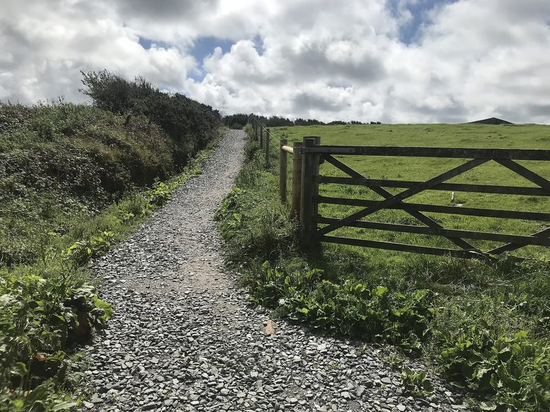 A grass path running downhill between hedges towards the North Devon coast at Greencliff, with the sea and low cliffs visible beyond.