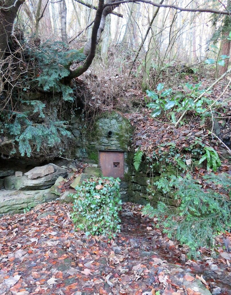 A small rusty iron door set in a mossy stone wall at the foot of a wooded bank strewn with autumn leaves.