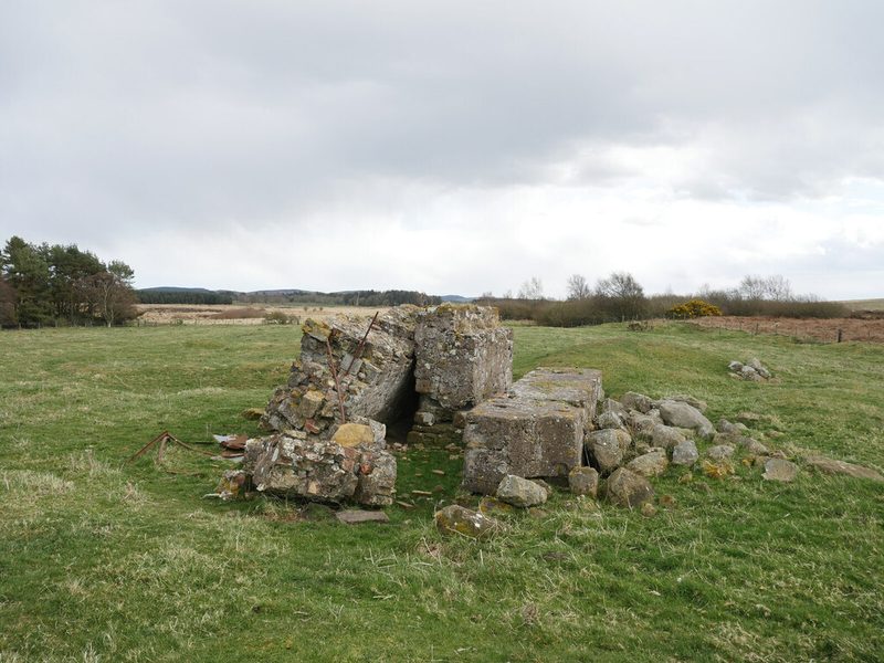 Toppled blocks of mortared stonework and loose boulders lie in a grassy field under a grey sky, with woodland behind.