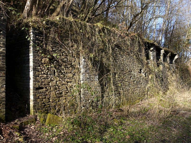 A long overgrown stone retaining wall with openings, in bare woodland
