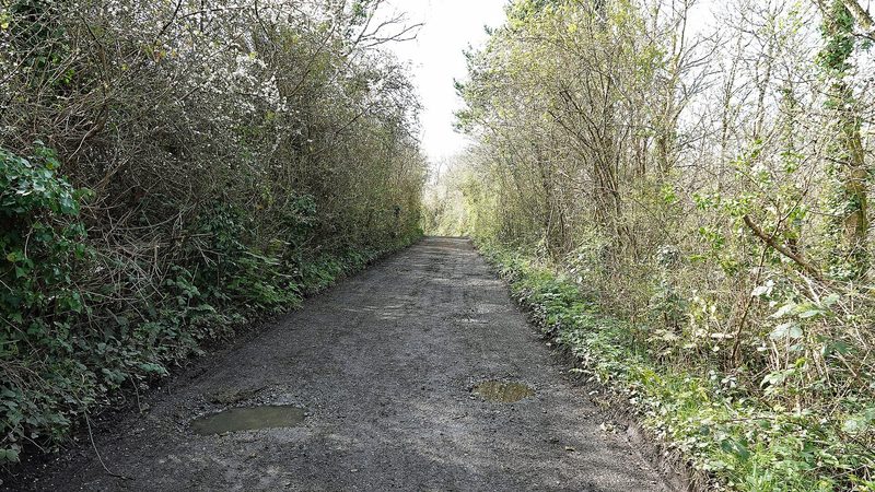 A green track running between trees and hedges across the cleared ground of the former Bonville's Court Colliery at Saundersfoot