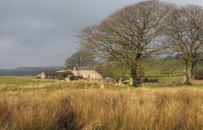 Stone farmhouse and outbuildings behind bare beech trees and rough grassland at Borrowdale House, North Stainmore