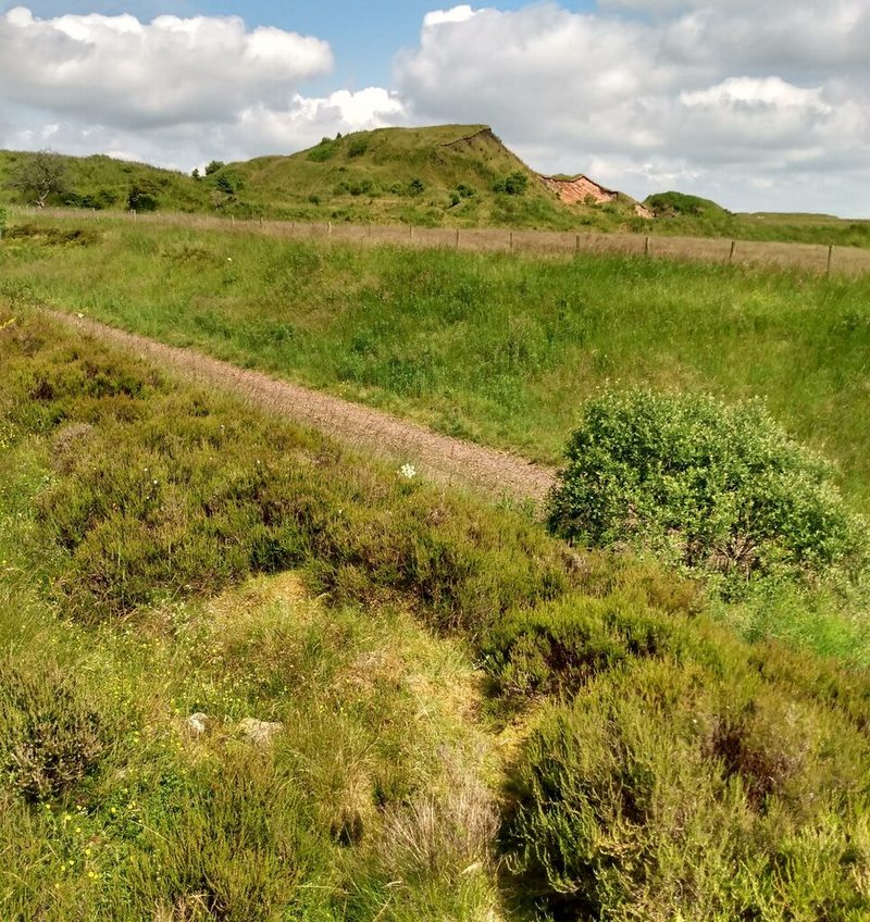 Grassed colliery waste heap with a red exposed face, seen across heather and a gravel track on the Fauldhouse Hills.