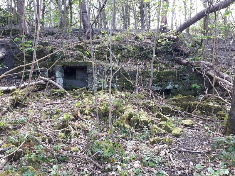 Low broken stone walls of a small building among trees on old quarry ground.