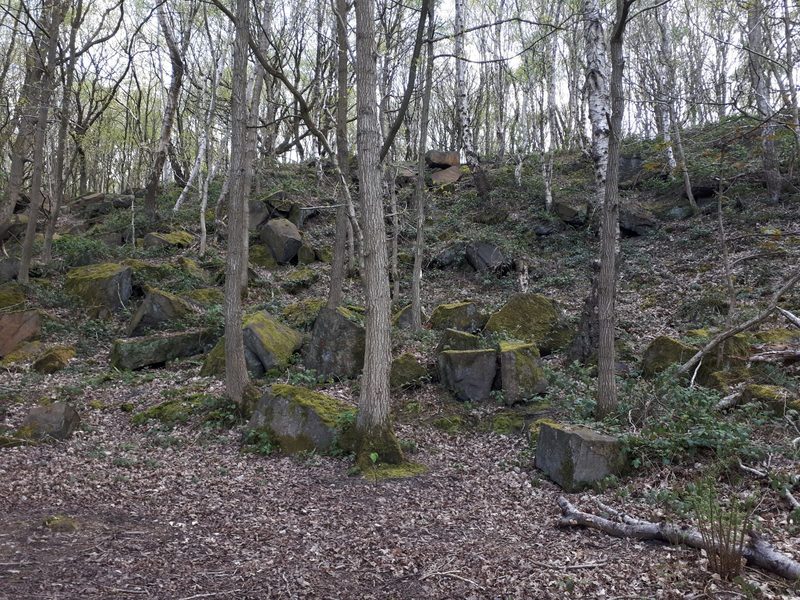 The larger of the disused quarries at Bramley Fall, Leeds, beside the Leeds and Liverpool Canal.